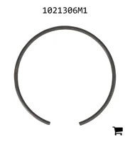 AGCO 1021306M1 Кольцо