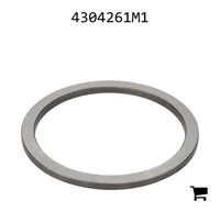 AGCO 4304261M1 Шайба