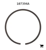 AGCO 107394A Кольцо