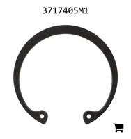 AGCO 3717405M1 Кольцо