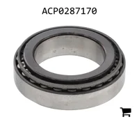 AGCO ACP0287170 Комплект подшипников
