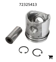 AGCO 72325413 Поршень