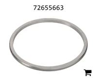 AGCO 72655663 Шайба