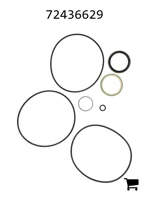 AGCO 72436629 Ремкомплект