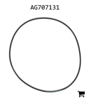 AGCO AG707131 Уплотнительное кольцо