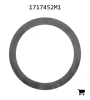 AGCO 1717452M1 Шайба