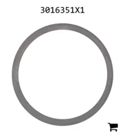 AGCO 3016351X1 Регулировочная шайба