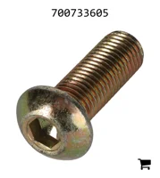 AGCO 700733605 Болт
