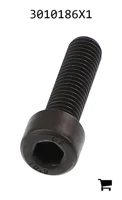 AGCO 3010186X1 Винт с цилиндрической головкой и шестигранным углублением