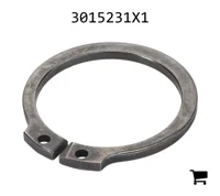 AGCO 3015231X1 Стопорное кольцо