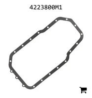 AGCO 4223800M1 Шарнир
