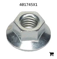 AGCO 401745X1 Шестигранная гайка