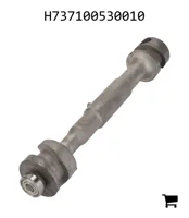 AGCO H737100530010 Регулировочный вал