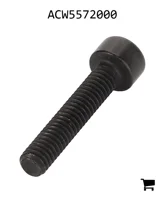 AGCO ACW5572000 Винт с цилиндрической головкой и шестигранным углублением