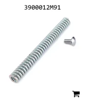 AGCO 3900012M91 Пружина