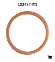AGCO 1024374M1 Шайба
