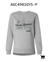 AGCO AGC4981GYS-P Свитшот Fendt, серый