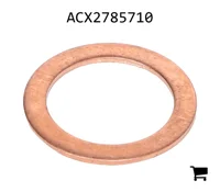 AGCO ACX2785710 Шайба