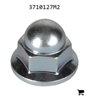 AGCO 3710127M2 Колпачковая гайка