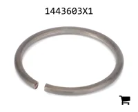 AGCO 1443603X1 Стопорное кольцо