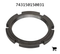 AGCO 743150150031 Круглая шлицевая гайка