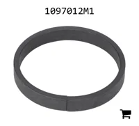 AGCO 1097012M1 Кольцо