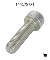 AGCO 1441757X1 Винт с цилиндрической головкой и шестигранным углублением