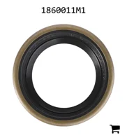AGCO 1860011M1 Радиальное уплотнительное кольцо