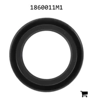 AGCO 1860011M1 Радиальное уплотнительное кольцо