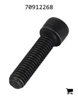 AGCO 70912268 Болт