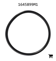 AGCO 1645899M1 Уплотнение крышки насоса