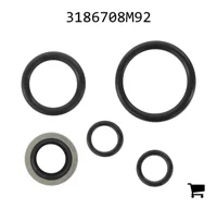 AGCO 3186708M92 Комплект уплотнений