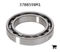 AGCO 3708598M1 Подшипниковый узел