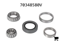 AGCO 70348580V Комплект подшипников