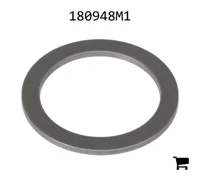 AGCO 180948M1 Шайба