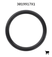 AGCO 3019917X1 Уплотнительное кольцо