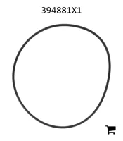 AGCO 394881X1 Уплотнительное кольцо