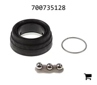 AGCO 700735128 Ремонтный комплект