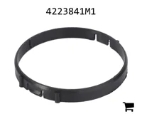 AGCO 4223841M1 Кольцо