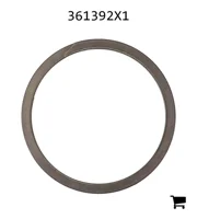 AGCO 361392X1 Кольцо