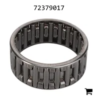 AGCO 72379017 Игольчатое кольцо