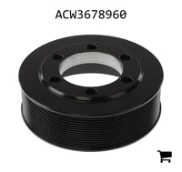 AGCO ACW3678960 Шкив коленчатого вала