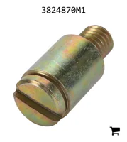 AGCO 3824870M1 Палец вилки