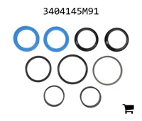 AGCO 3404145M91 Комплект уплотнений цилиндра