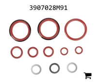 AGCO 3907028M91 Комплект соединений и уплотнений элемента вспомогательного распределителя