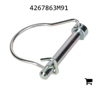 AGCO 4267863M91 Палец