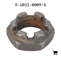 AGCO 9-1031-0009-6 Гайка