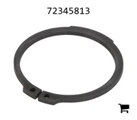 AGCO 72345813 Стопорная шайба