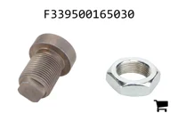 AGCO F339500165030 Установочный винт