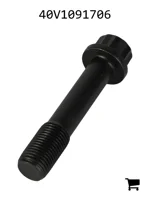 AGCO 40V1091706 Болт